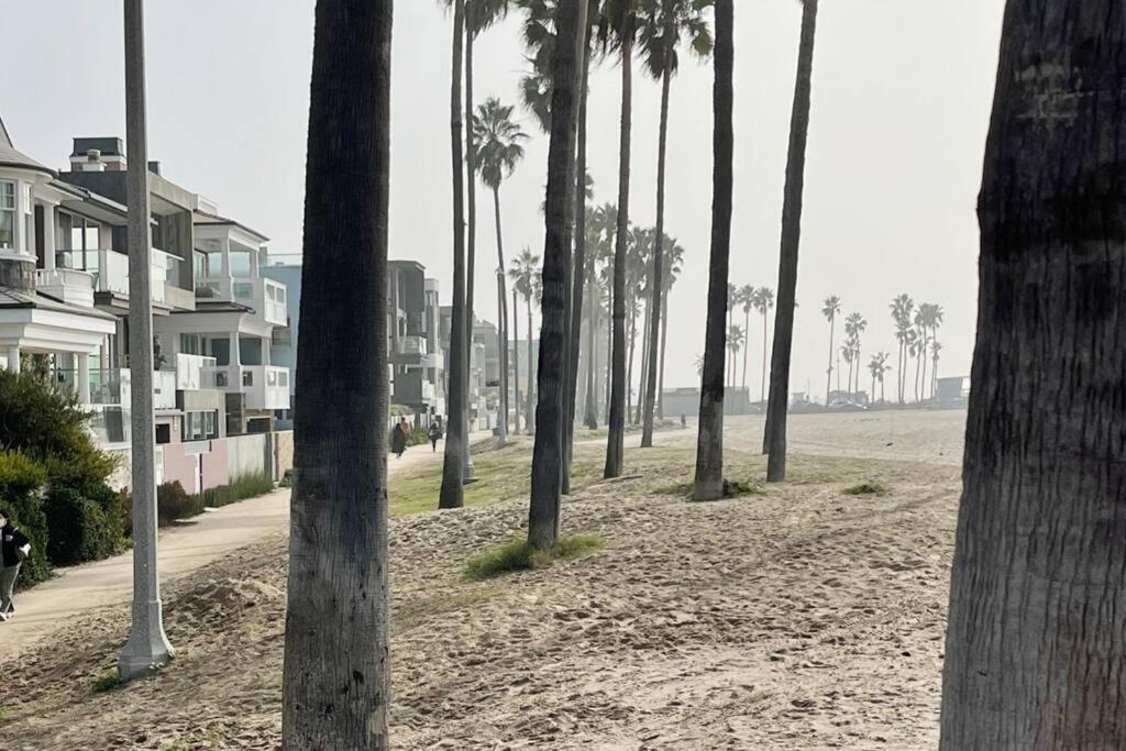 House On The Beach 로스앤젤레스 외부 사진